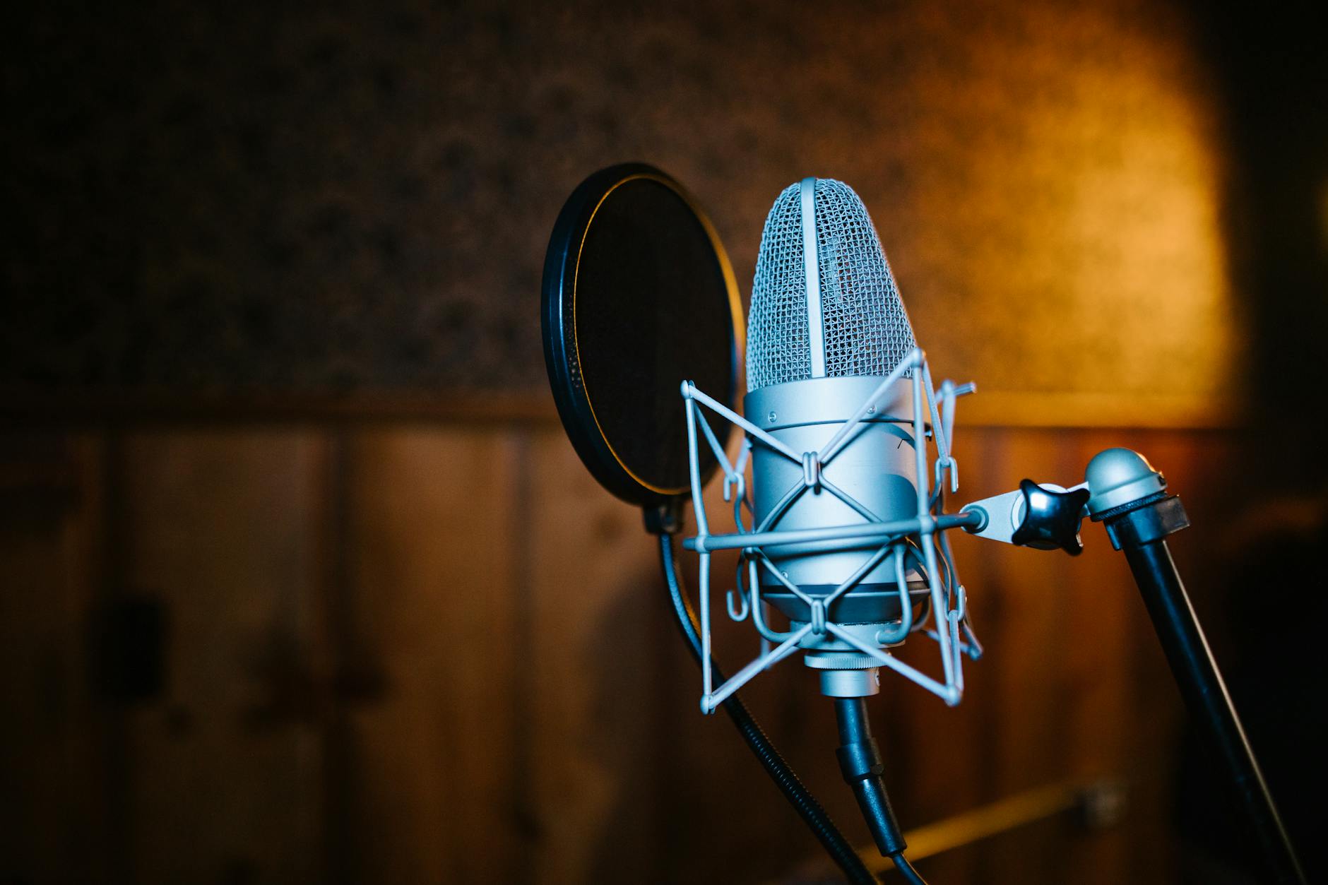 recording studio microphone (Photo: RDNE Stock project / Pexels)