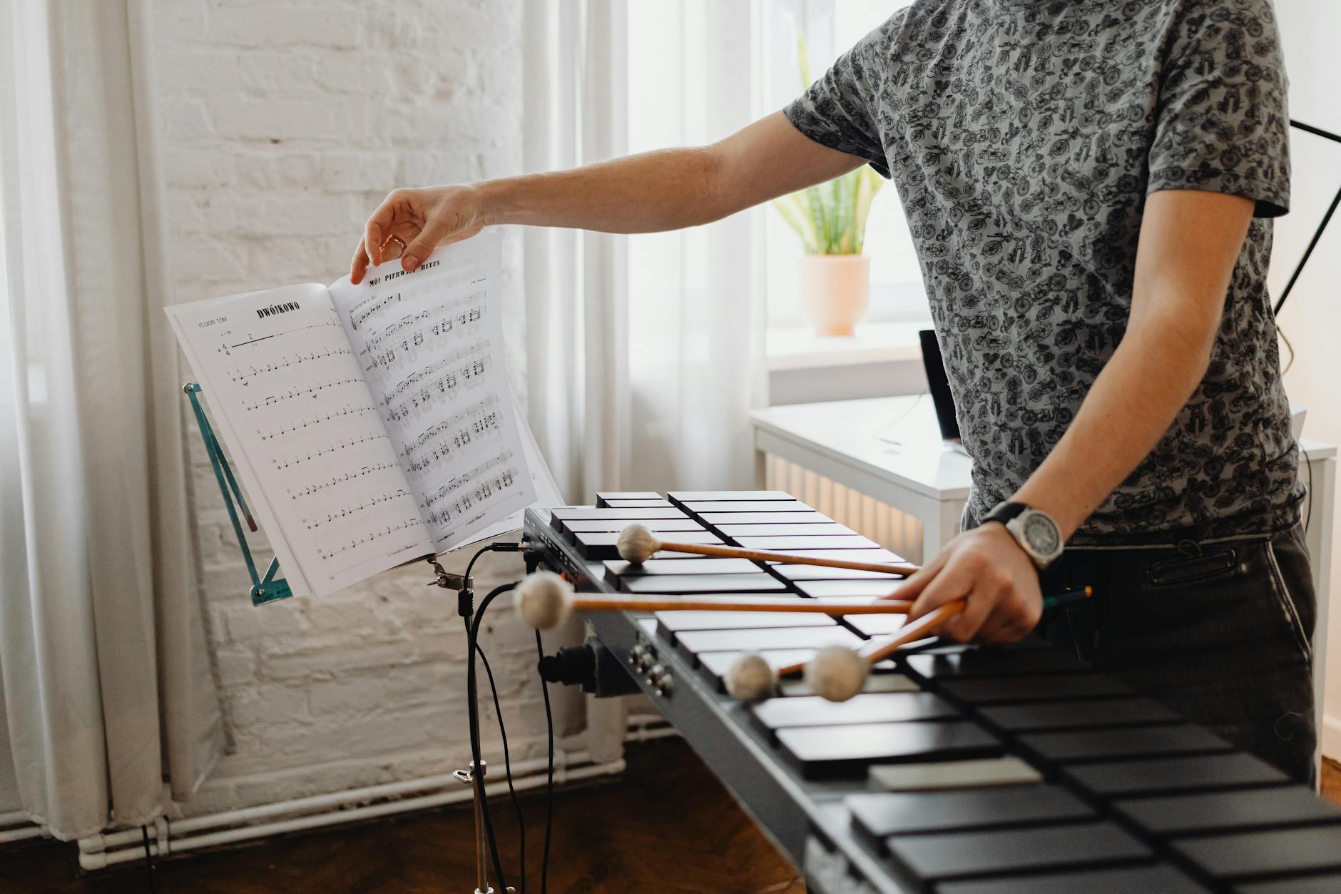 musician training practice (Photo: www.kaboompics.com / Pexels)