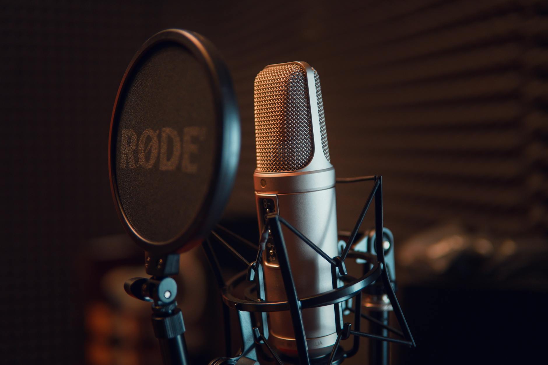 recording studio microphone (Photo: Dmitry Demidov / Pexels)