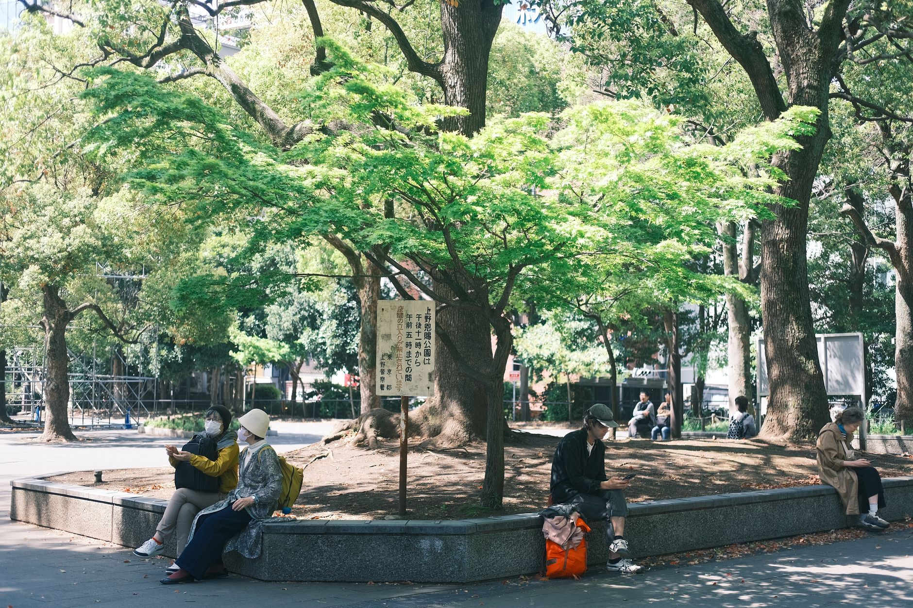 tokyo suburban park green trees (Photo: Tito Zzzz / Pexels)