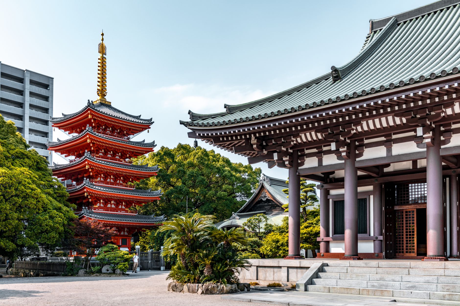 fukuoka tenjin city park (Photo: Gije Cho / Pexels)