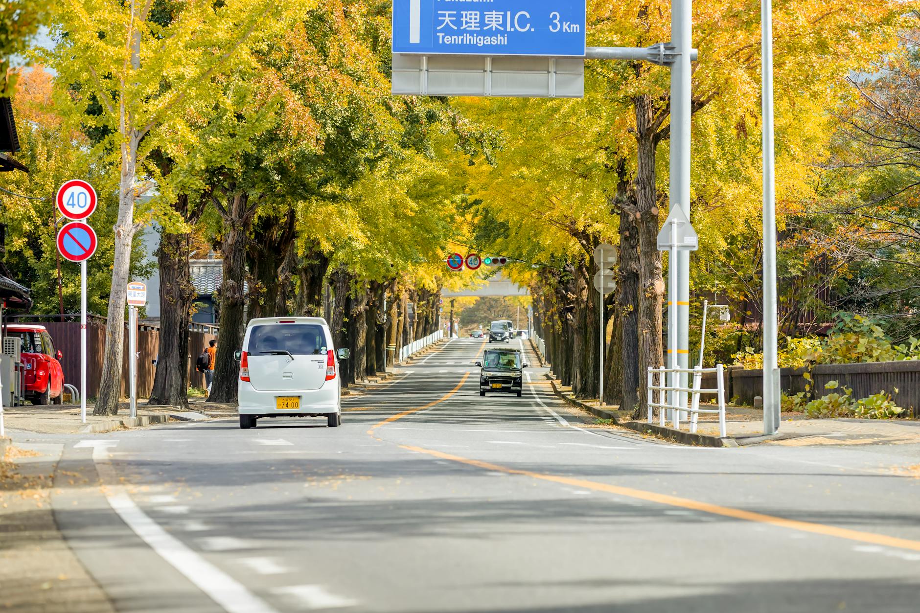 sendai jozenji street tree lined avenue (Photo: Thắng Văn / Pexels)