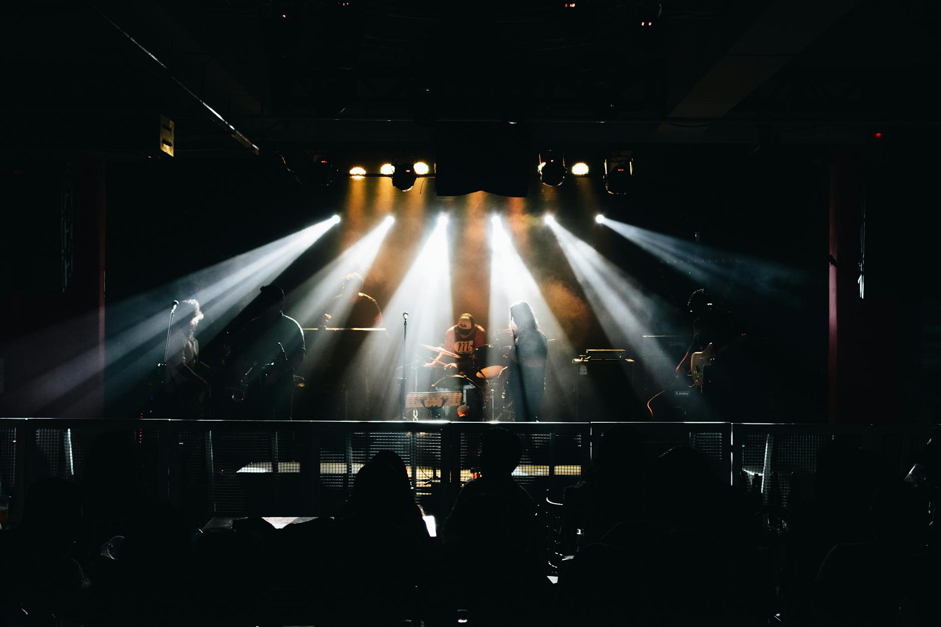 live concert performance (Photo: Bill velapatiño / Pexels)