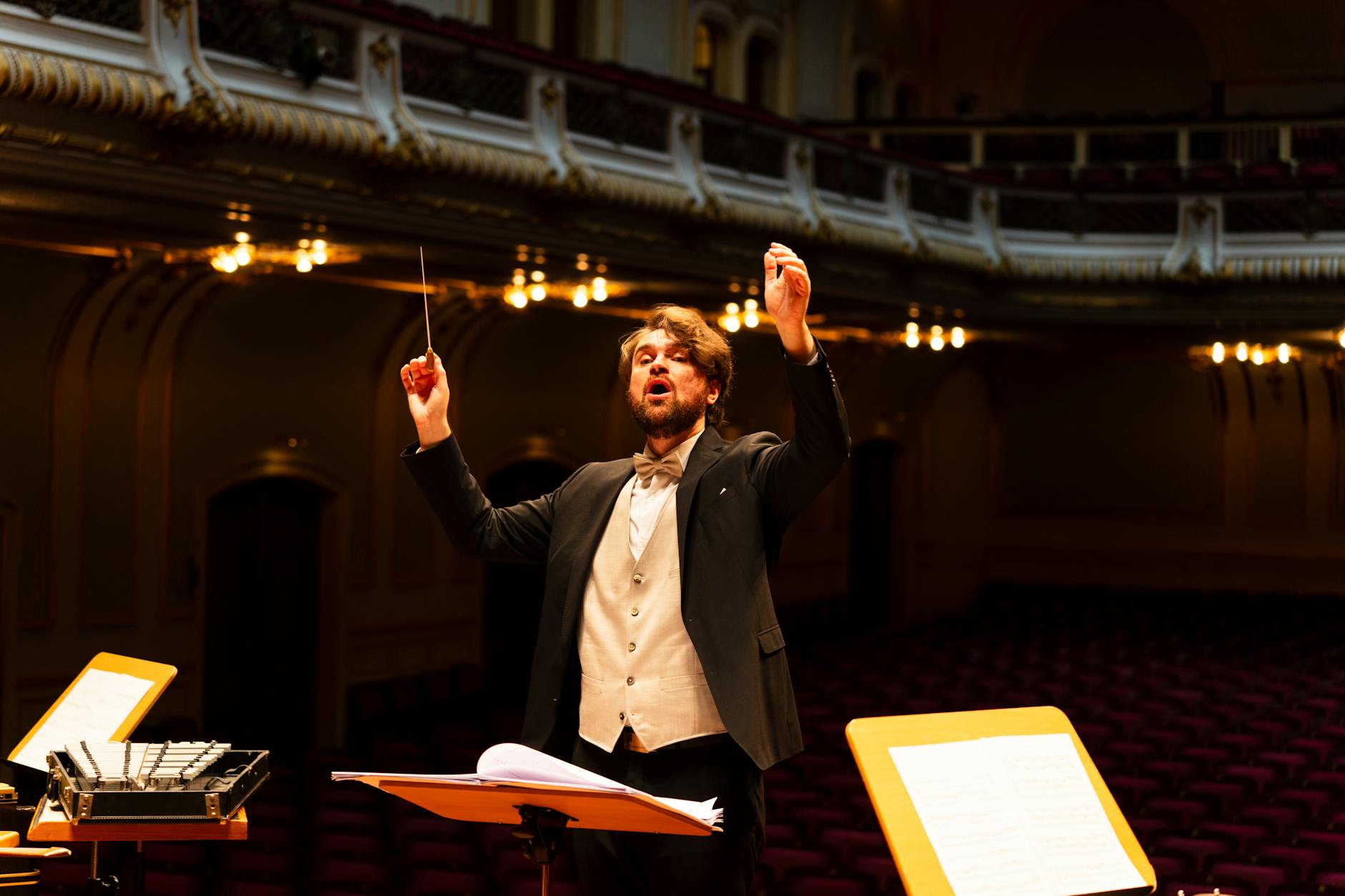 orchestra conductor performance (Photo: Jonas Baumann / Pexels)