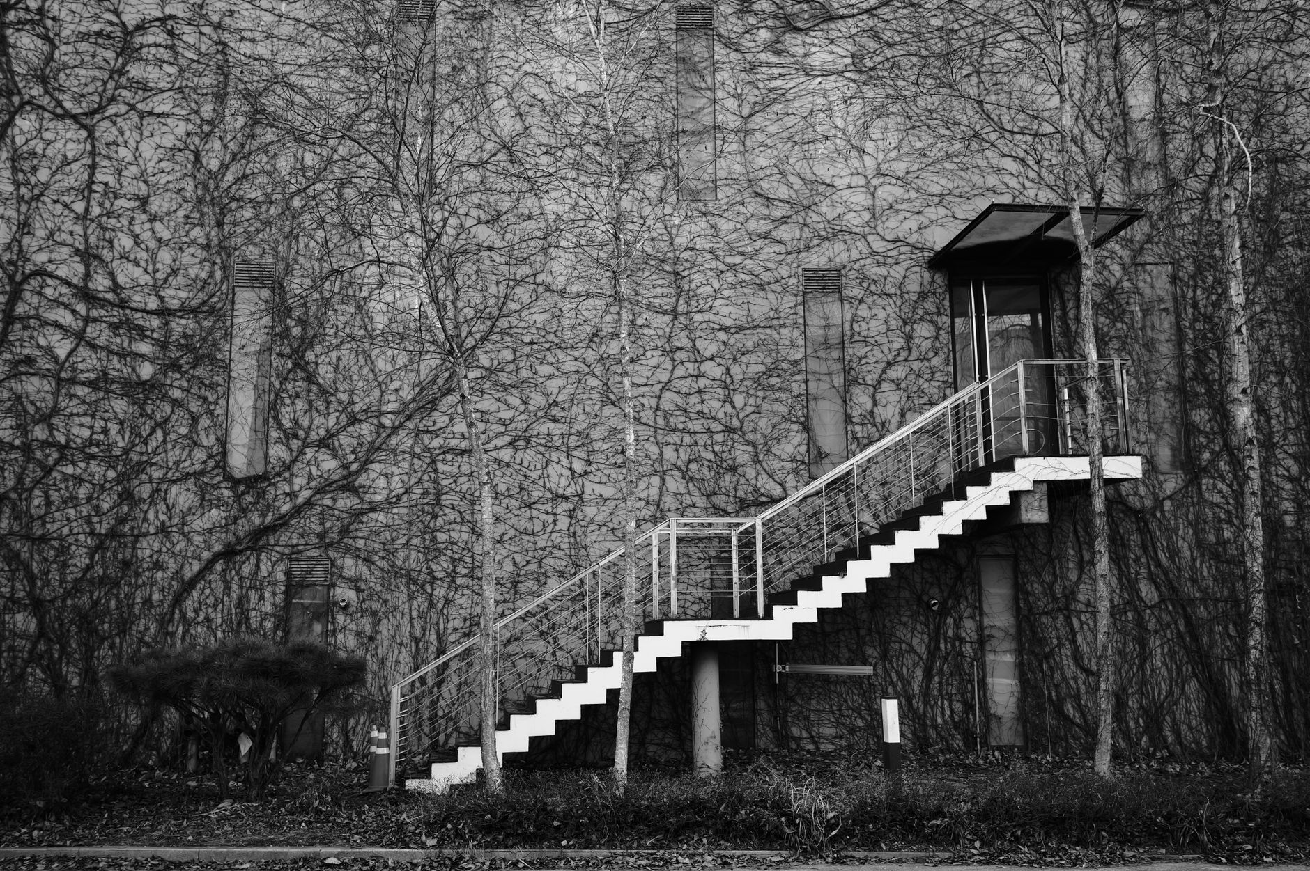 stairs steps growth concept (Photo: Je Hwan Lee / Pexels)