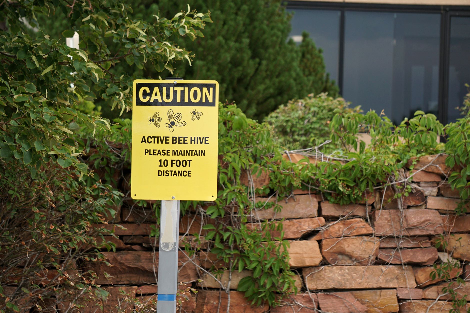 warning caution sign (Photo: Joshua Brown / Pexels)