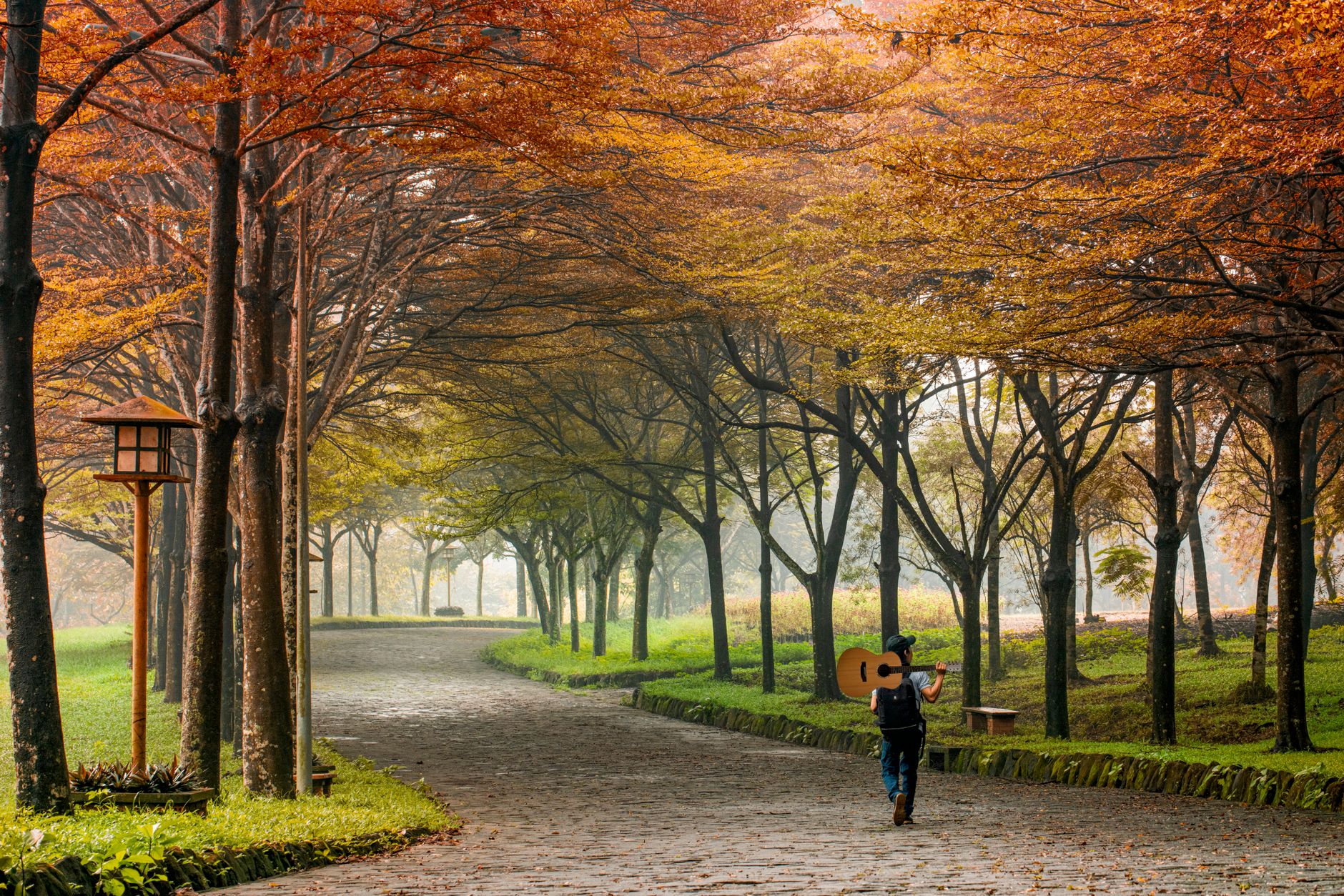 musician path road forward (Photo: Bảo Minh / Pexels)