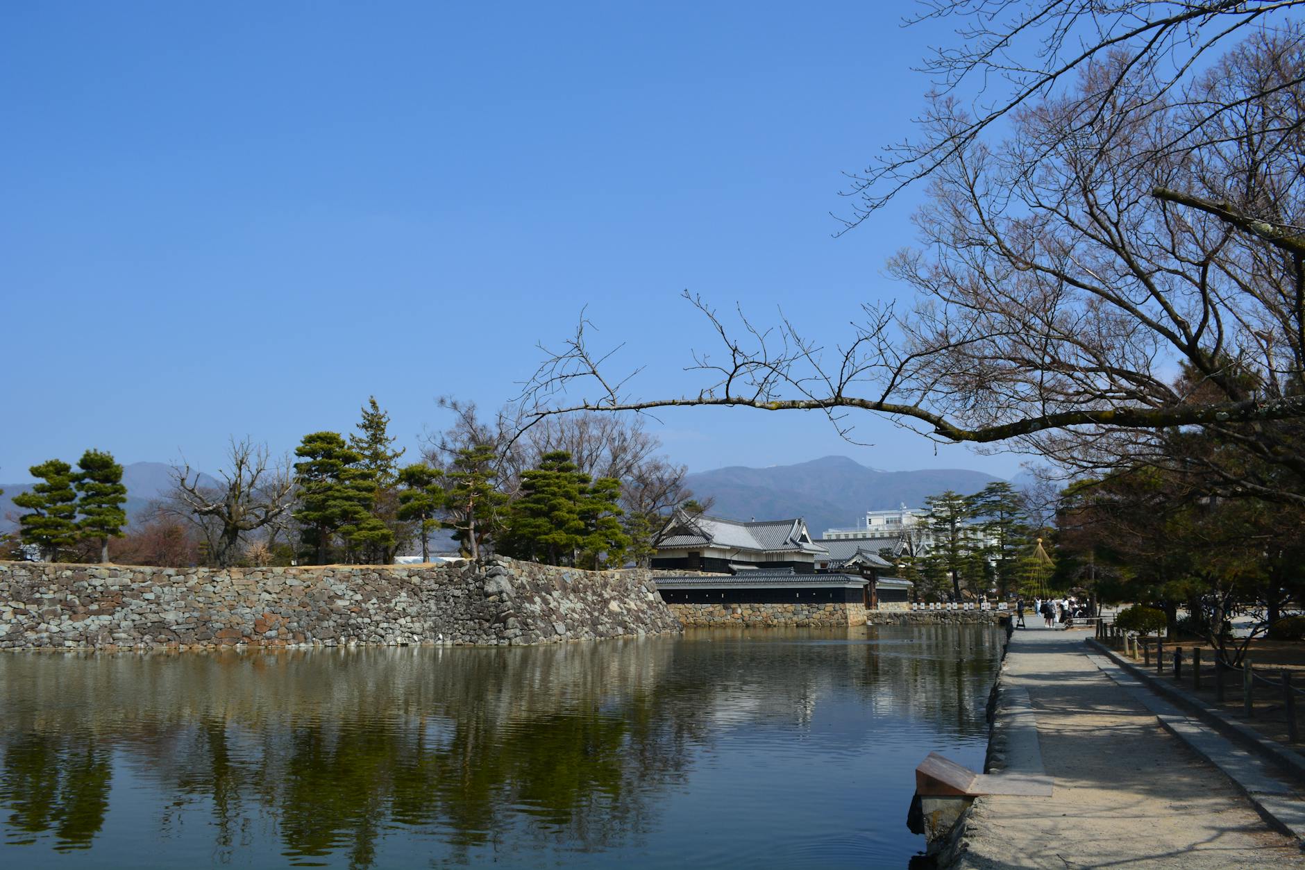 wakayama castle japan daytime (Photo: SHIMADA MASAKI / Pexels)