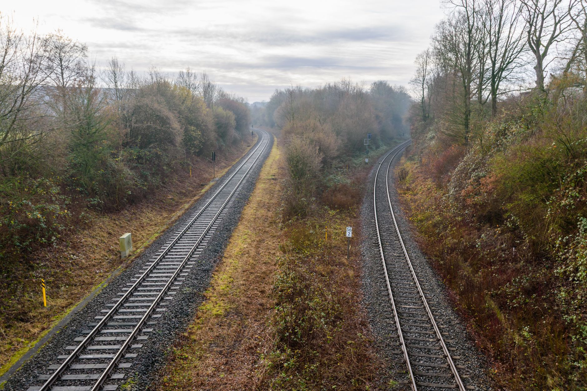 two paths comparison (Photo: SK Strannik / Pexels)