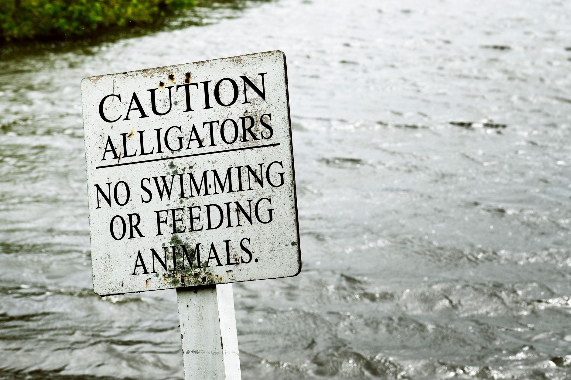 warning caution sign (Photo: Hampton Lamoureux / Pexels)