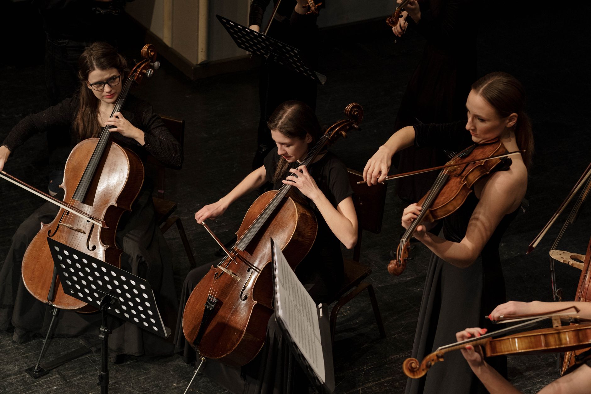 string orchestra instruments (Photo: cottonbro studio / Pexels)