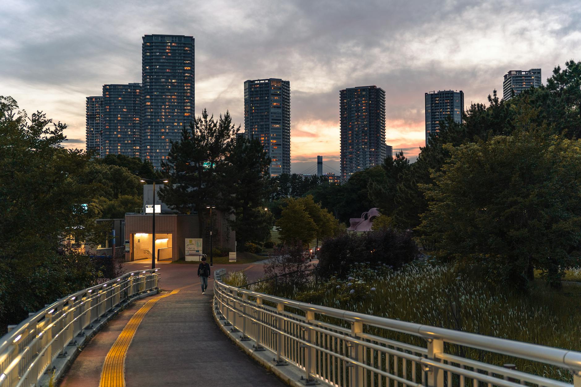 tokyo park evening lights (Photo: Iban Lopez Luna / Pexels)