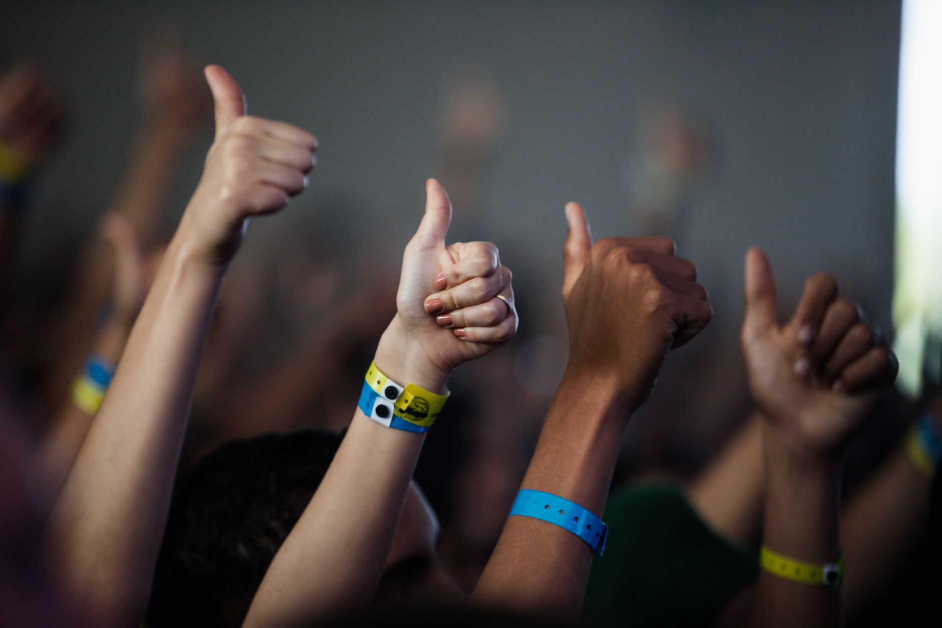 concert variety crowd (Photo: Filipe Braggio / Pexels)
