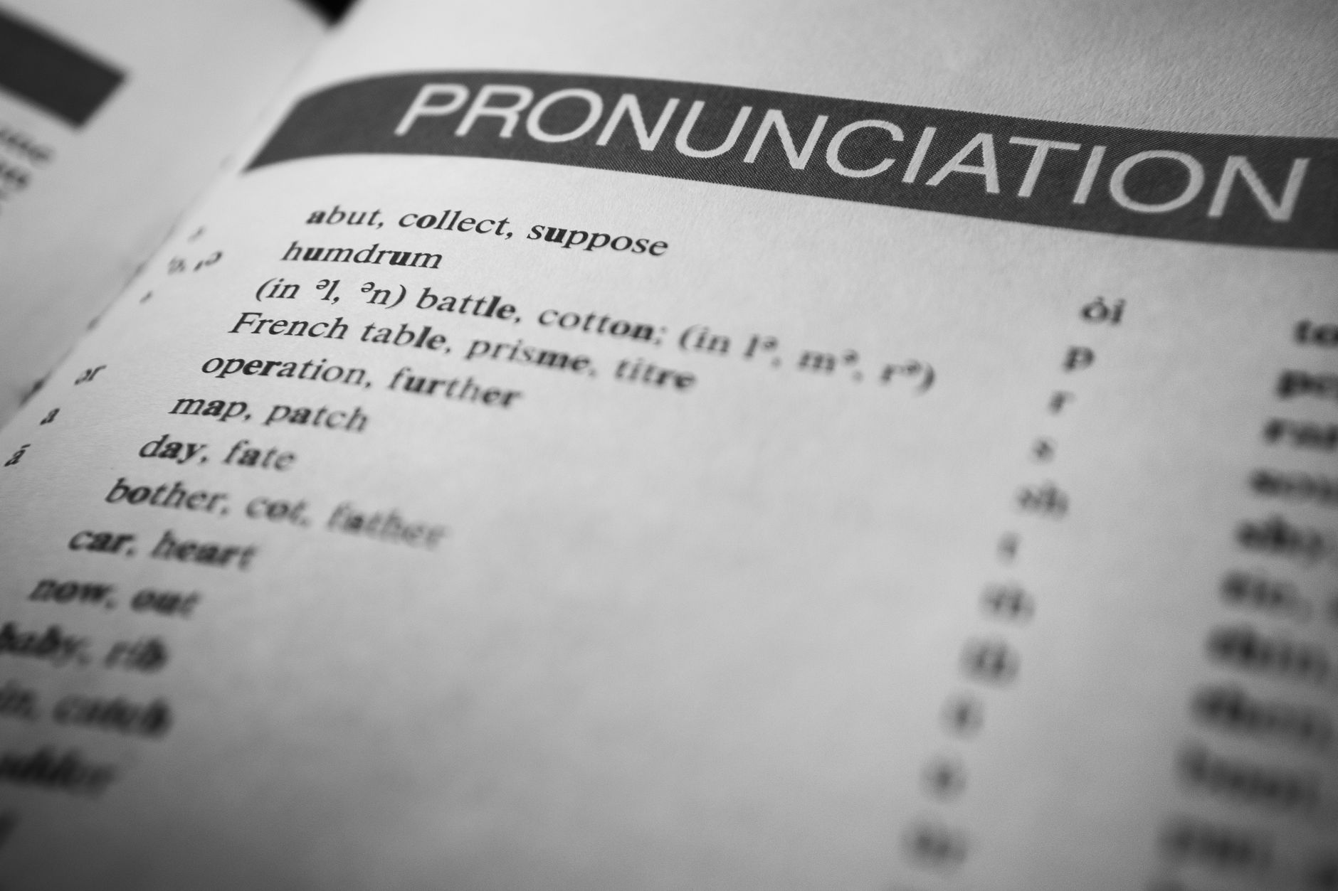 english textbook study (Photo: Nothing Ahead / Pexels)