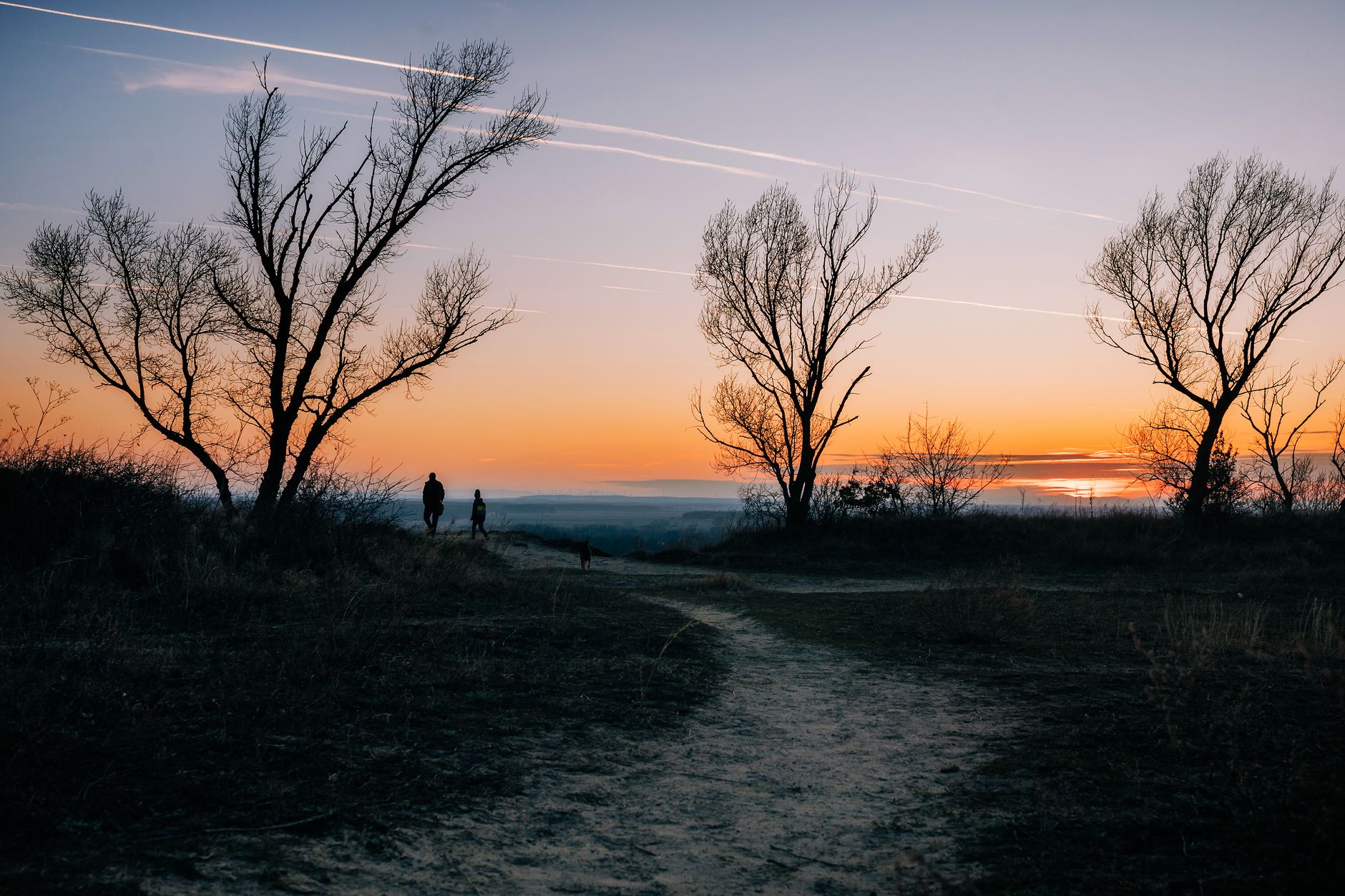two paths comparison (Photo: Helena Jankovičová Kováčová / Pexels)