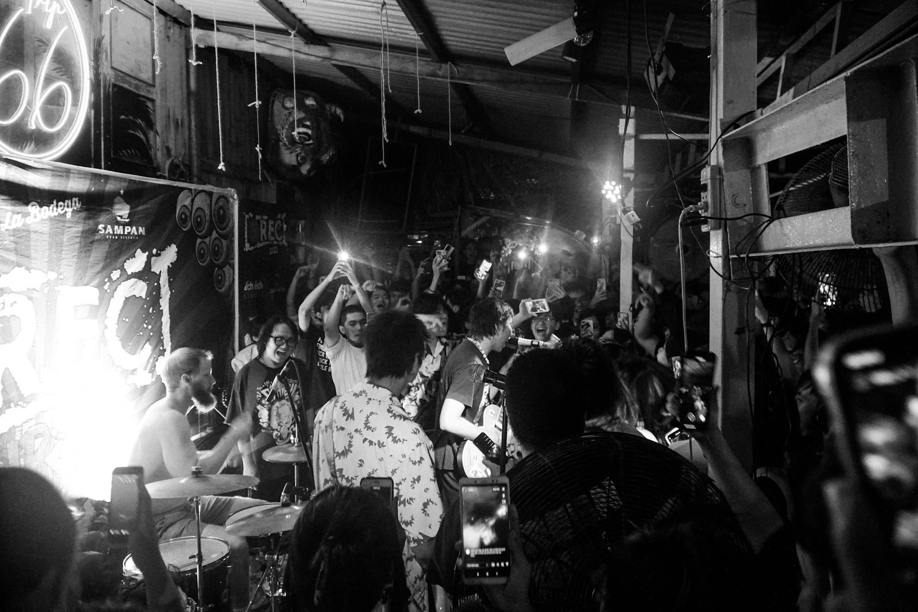 musician laptop fans intimate (Photo: Quyn Phạm / Pexels)