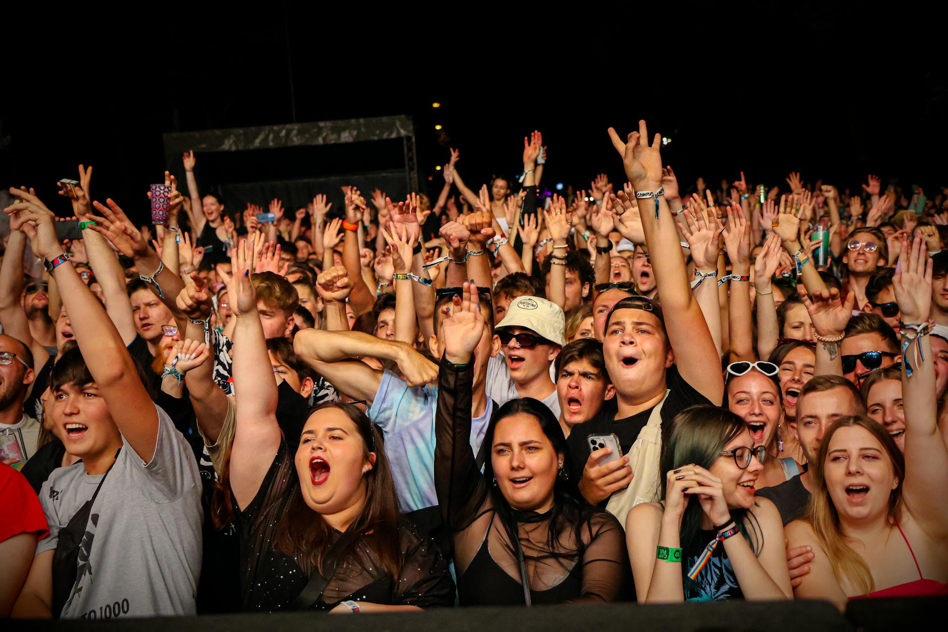 live concert audience excited (Photo: Máté Lakatos / Pexels)