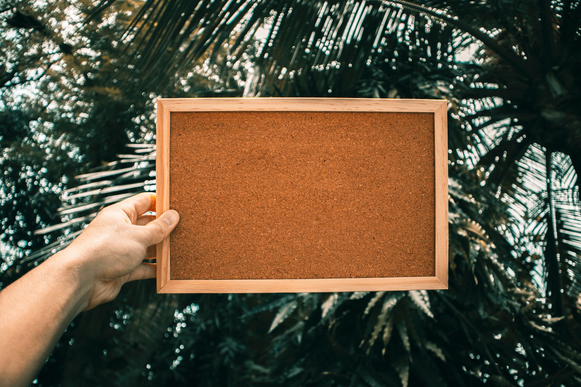 smartphone notice board (Photo: Nothing Ahead / Pexels)