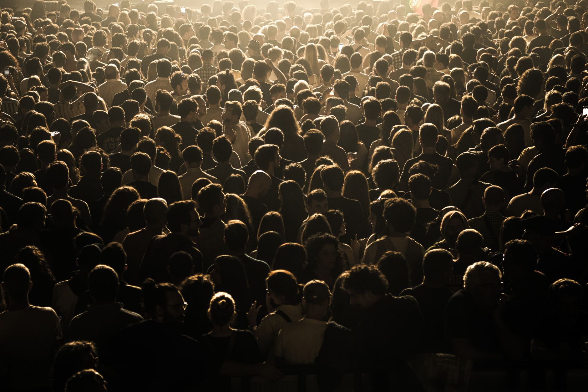 concert audience unity (Photo: Fausto Ferreira / Pexels)