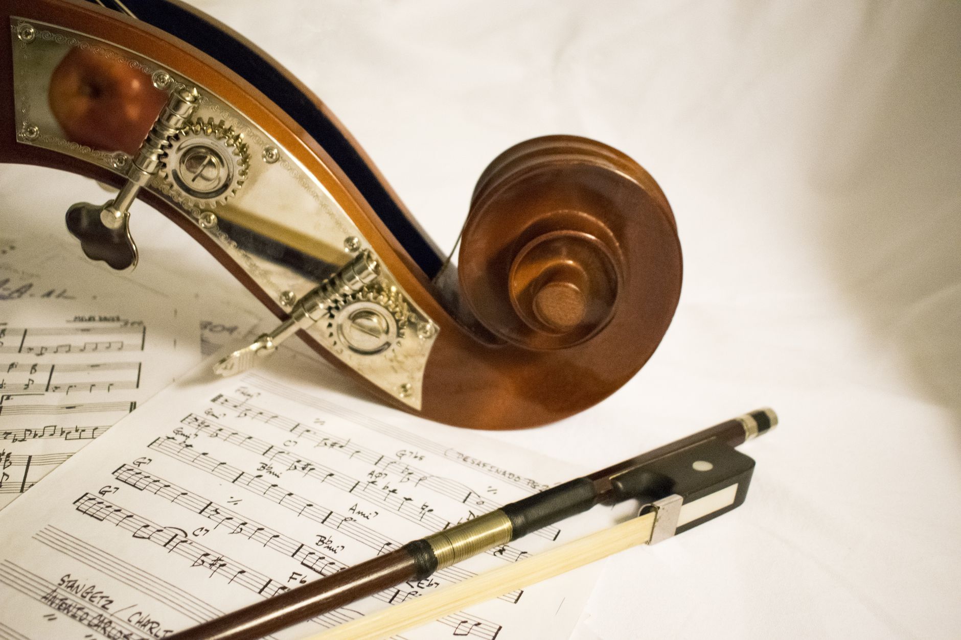 musician planning (Photo: Pixabay / Pexels)