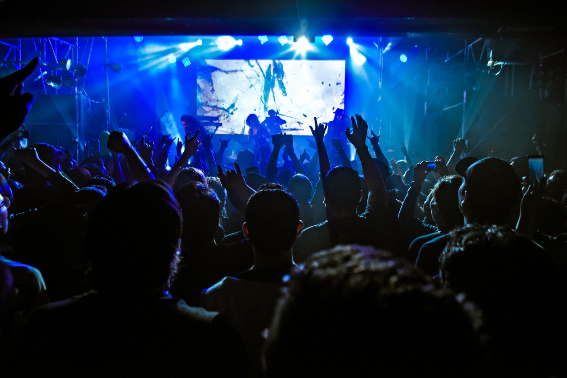 live concert audience (Photo: Leslie del Moral / Pexels)