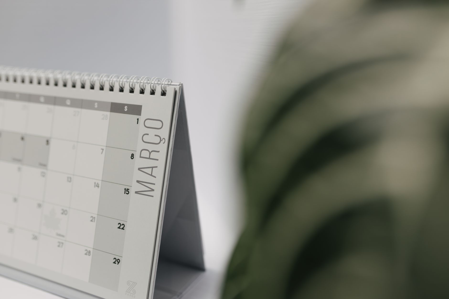 calendar routine monthly plan (Photo: Matheus Bertelli / Pexels)