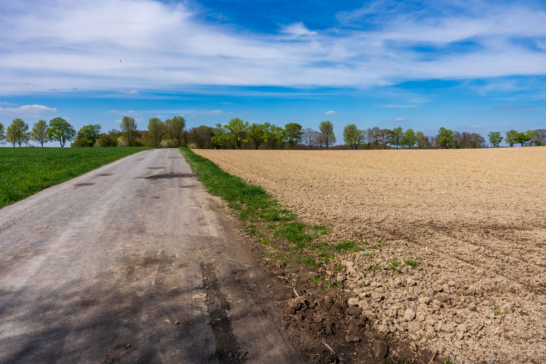 countryside empty road field (Photo: Sergej ***** / Pexels)