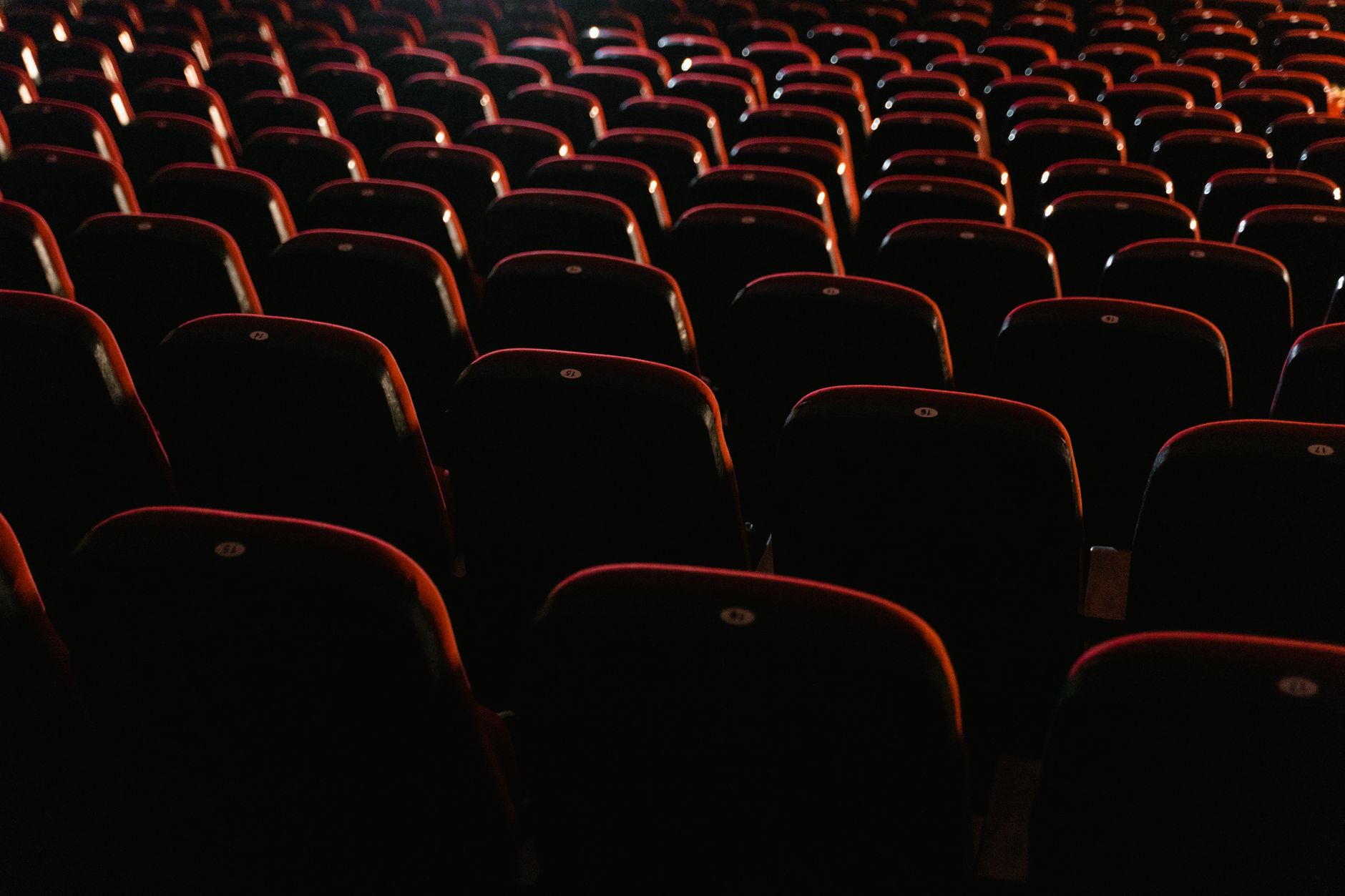 empty venue chairs dim (Photo: Tima Miroshnichenko / Pexels)