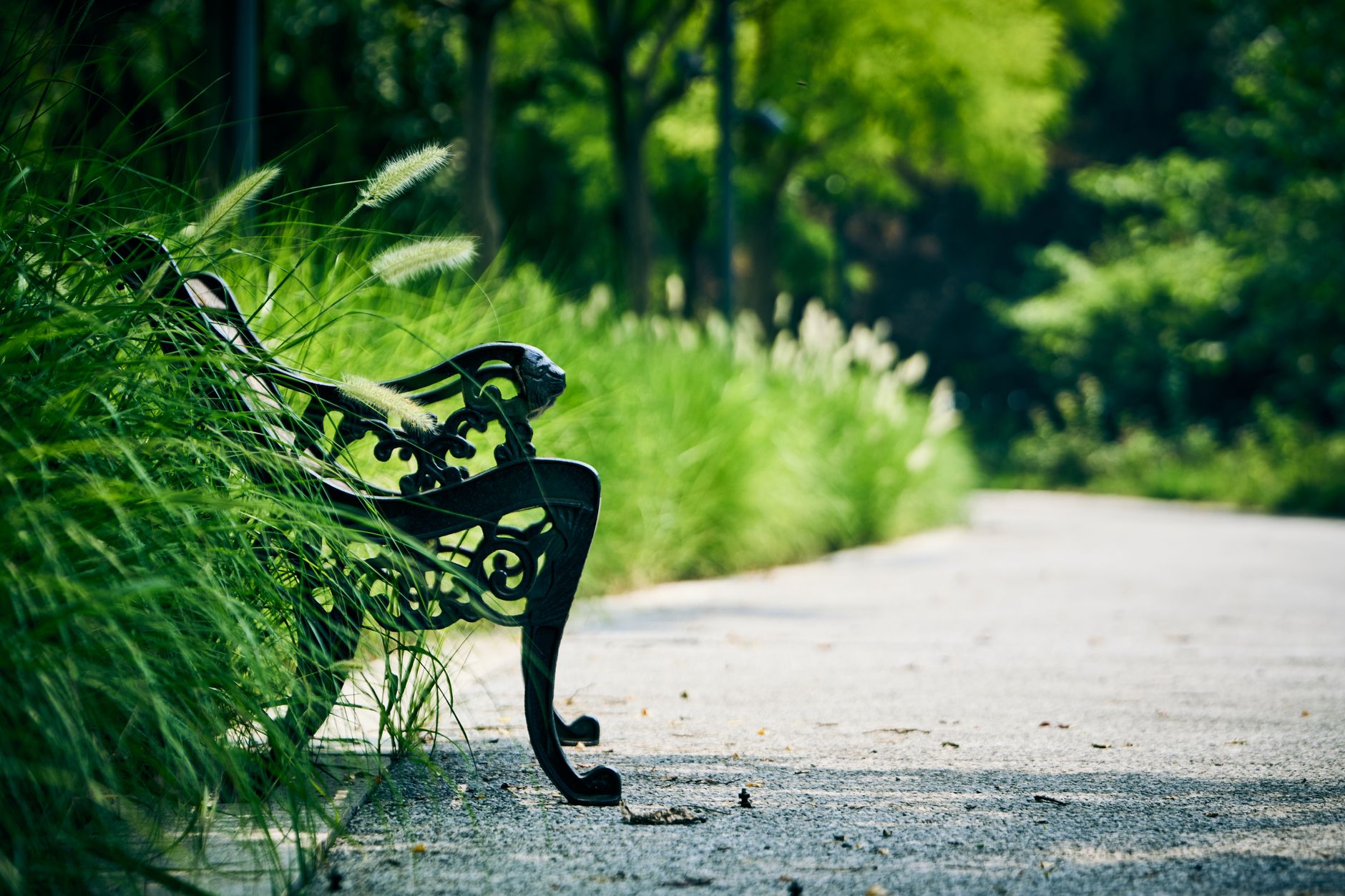 resting nature walk peaceful (Photo: Suki Lee / Pexels)