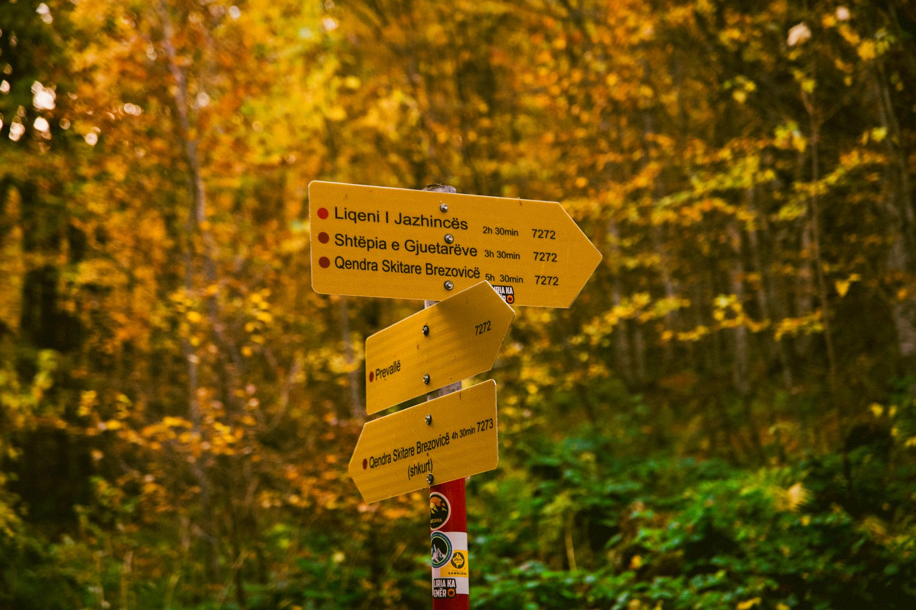 signpost three directions (Photo: Furkan Idrizi / Pexels)