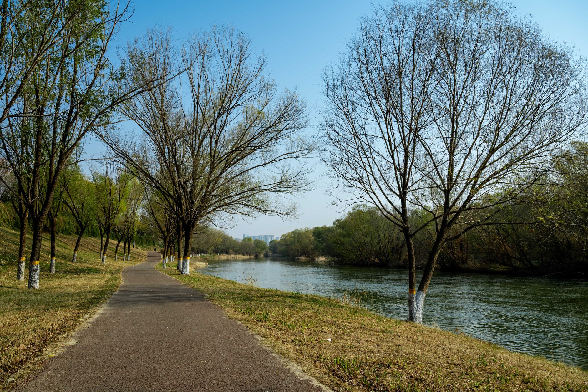 riverside path empty morning (Photo: Bingqian Li / Pexels)