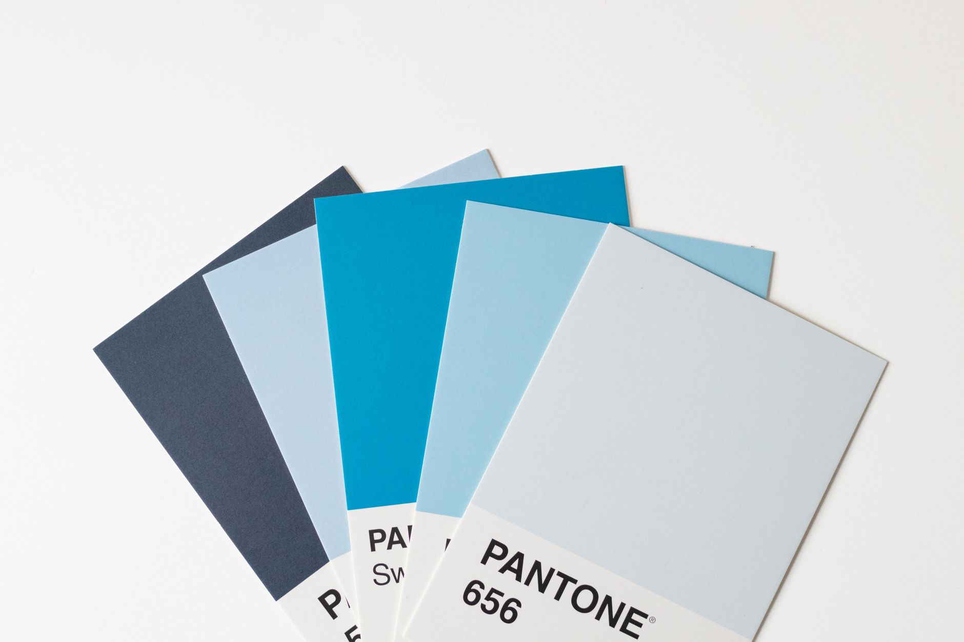color swatches brand design (Photo: Fiona Murray / Pexels)