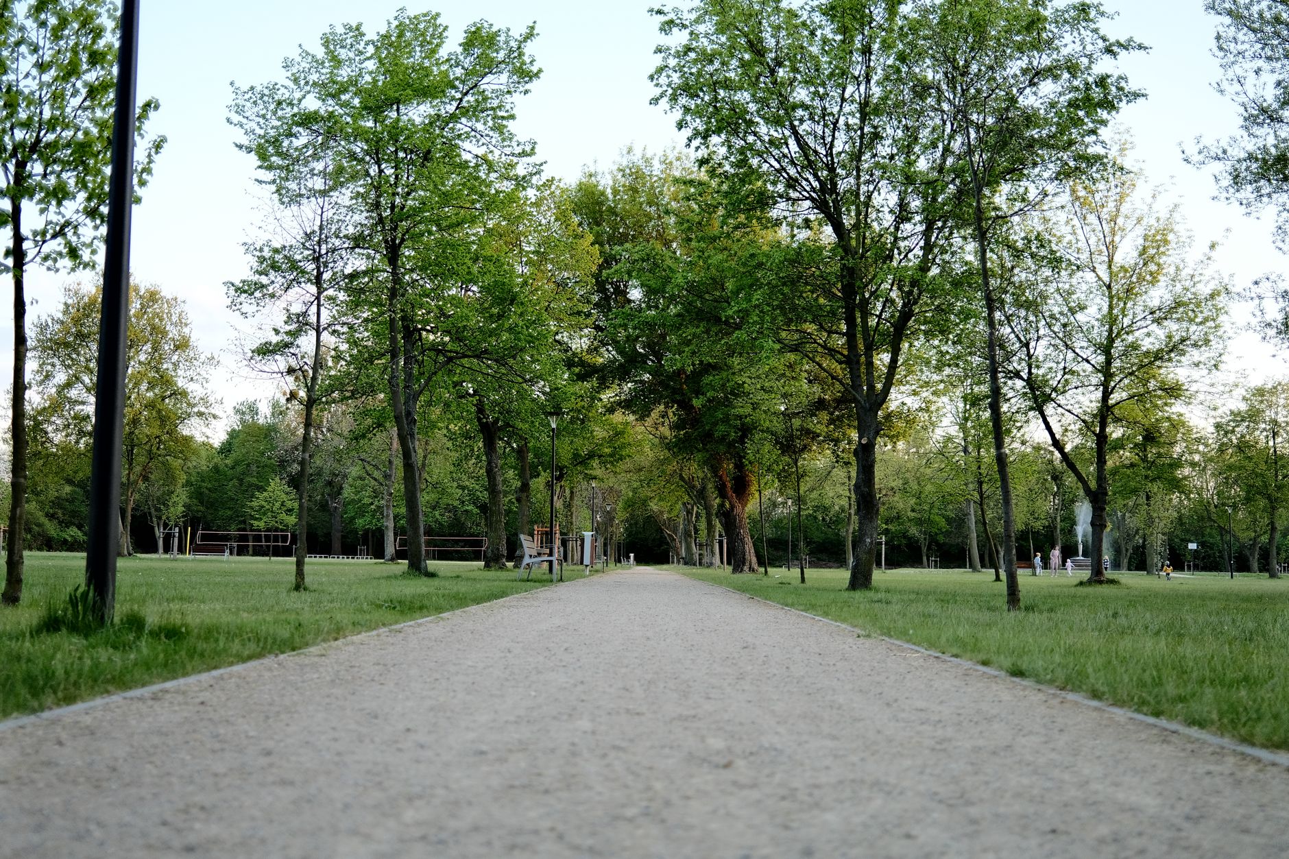 empty park path morning (Photo: Egor Komarov / Pexels)