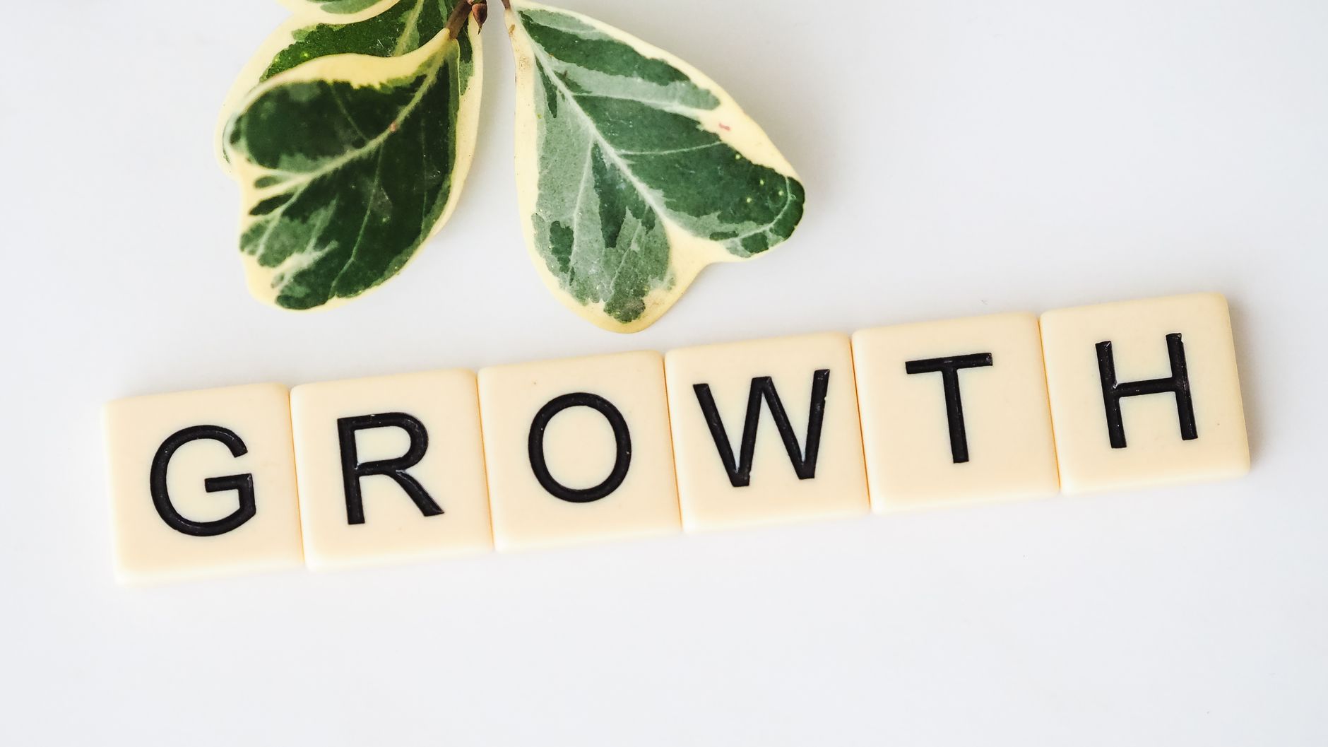 growth stairs progress concept (Photo: Bluehouseskis / Pexels)