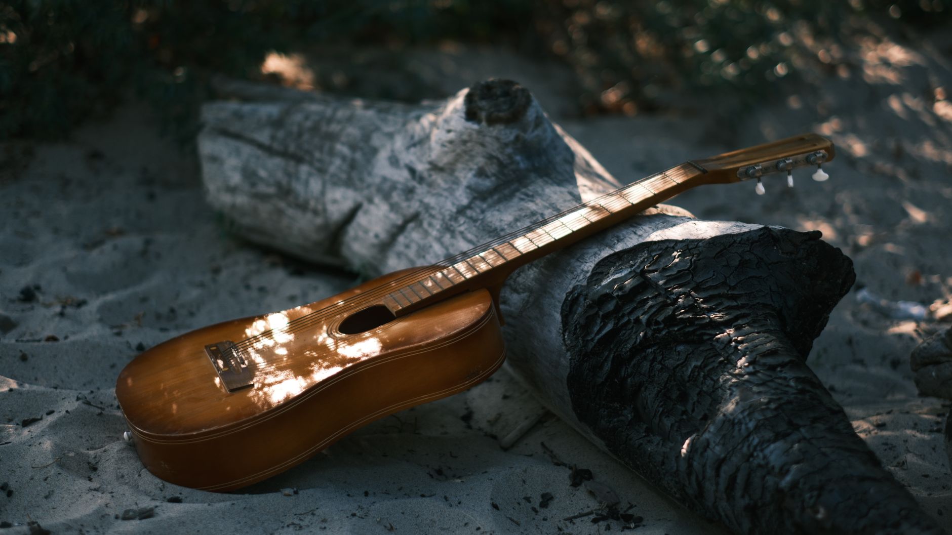 warm acoustic guitar sunlight (Photo: Elena Aellgie / Pexels)