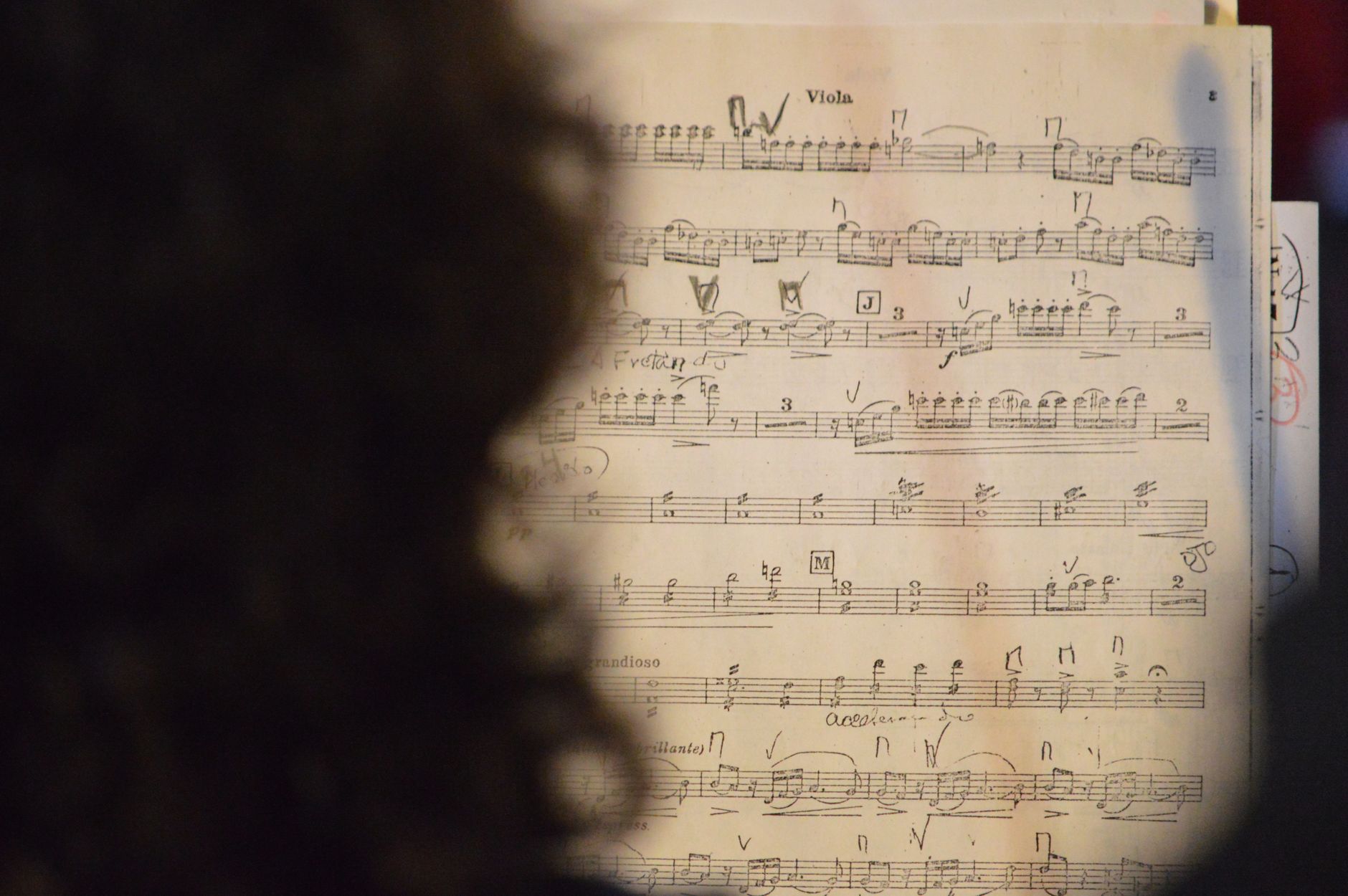 sheet music score (Photo: Genaro Servín / Pexels)