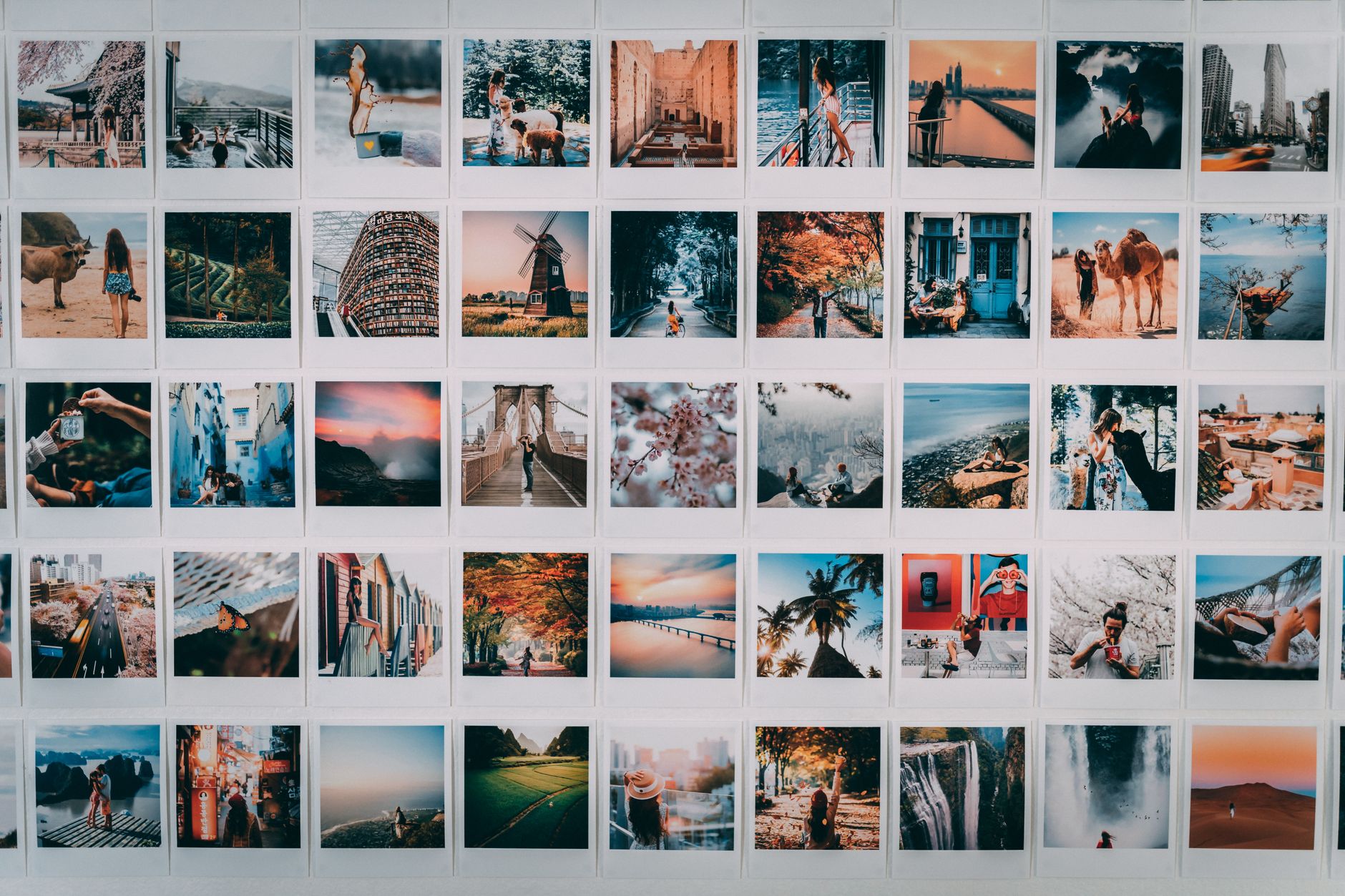 color toned photo grid (Photo: Taryn Elliott / Pexels)