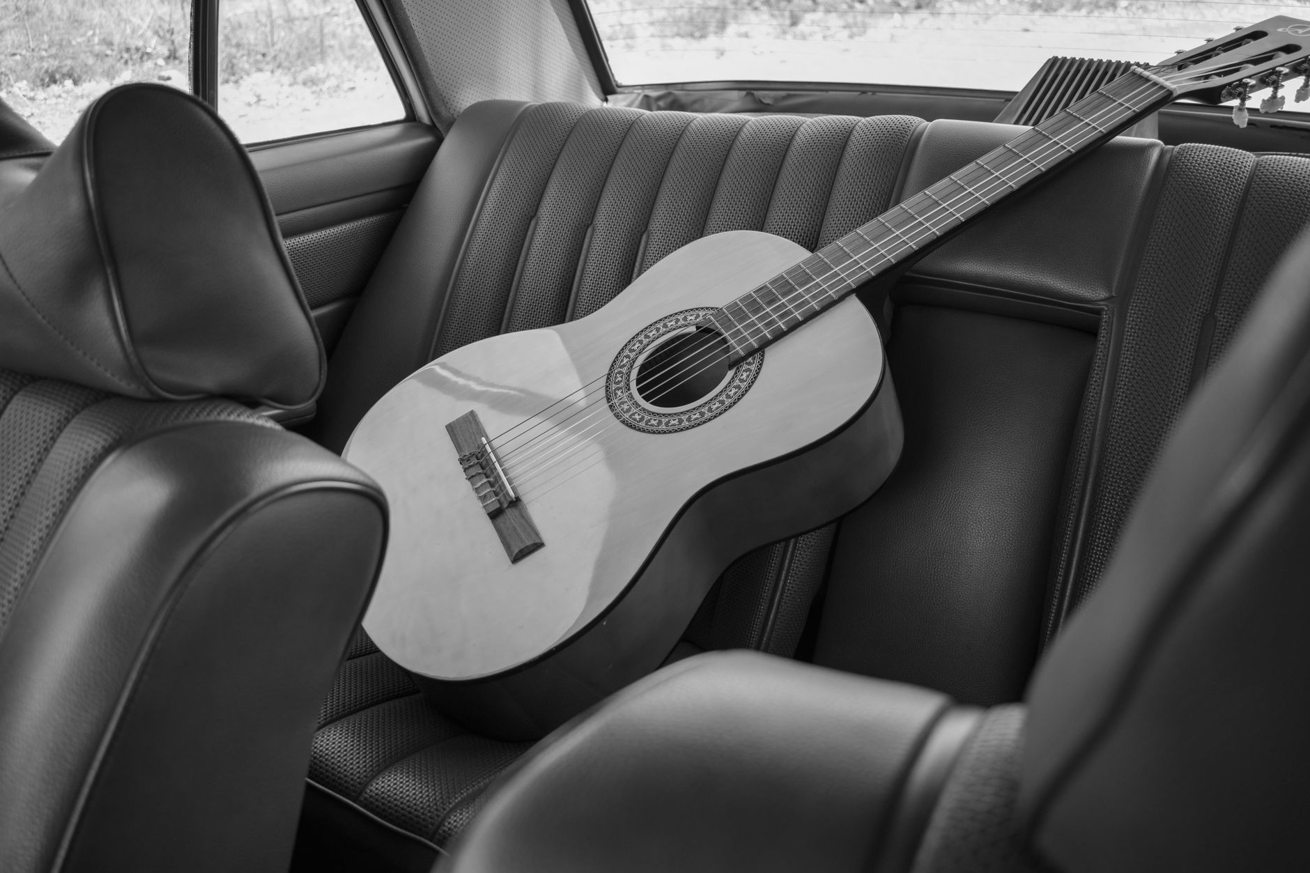 musician guitar case train (Photo: Kadin Eksteen / Pexels)