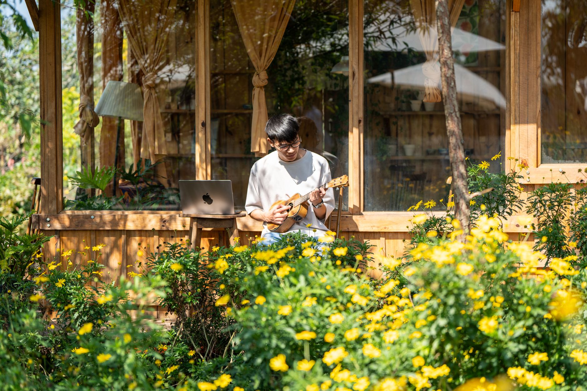 guitar sunlight window peaceful (Photo: Nguyen Khuong / Pexels)