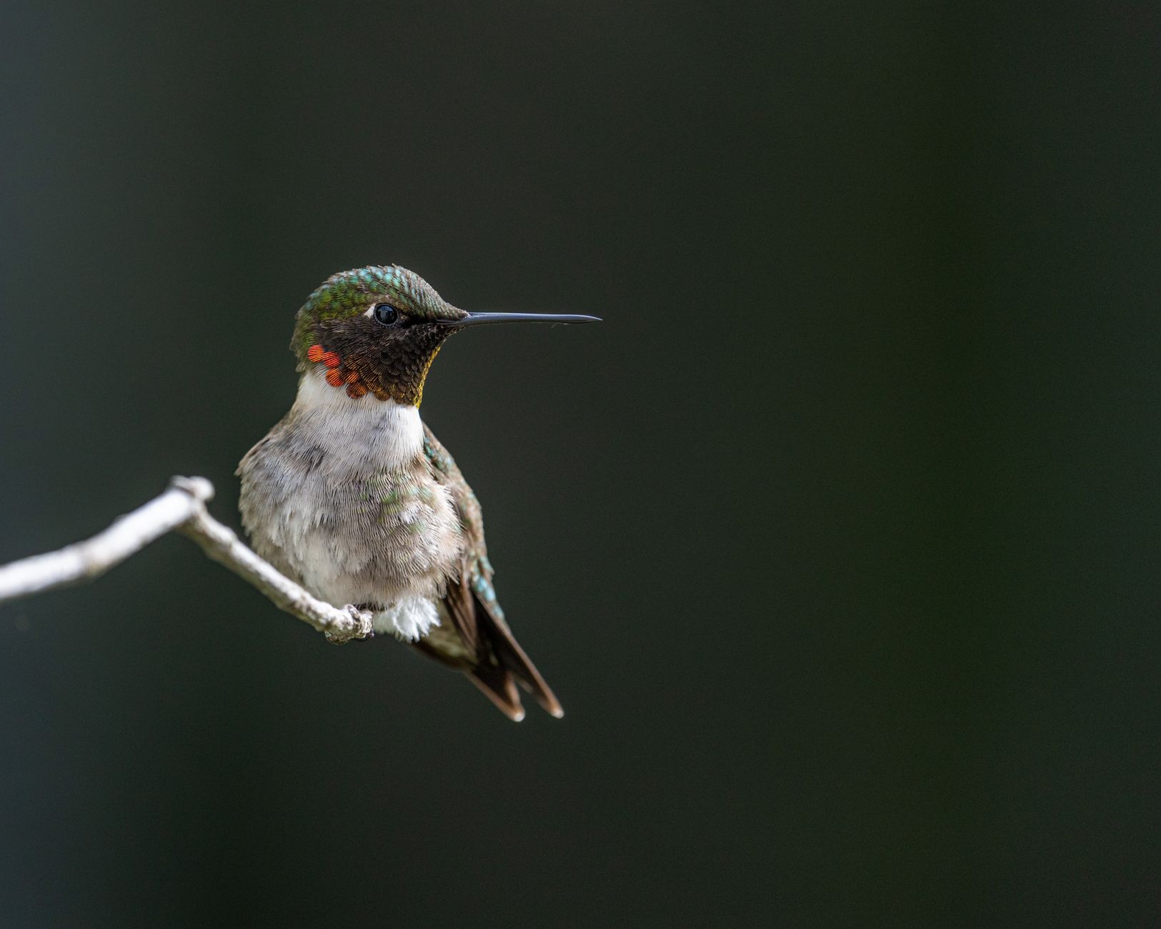 singer resting throat (Photo: Skyler Ewing / Pexels)