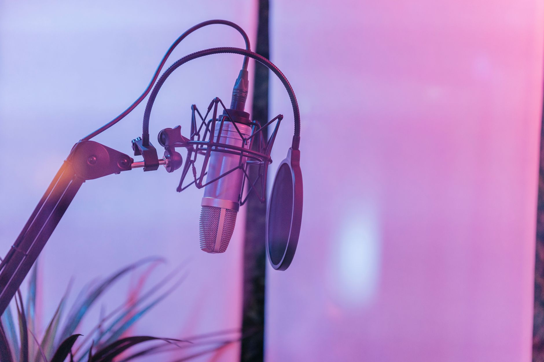 condenser microphone reflection filter (Photo: Anna Pou / Pexels)