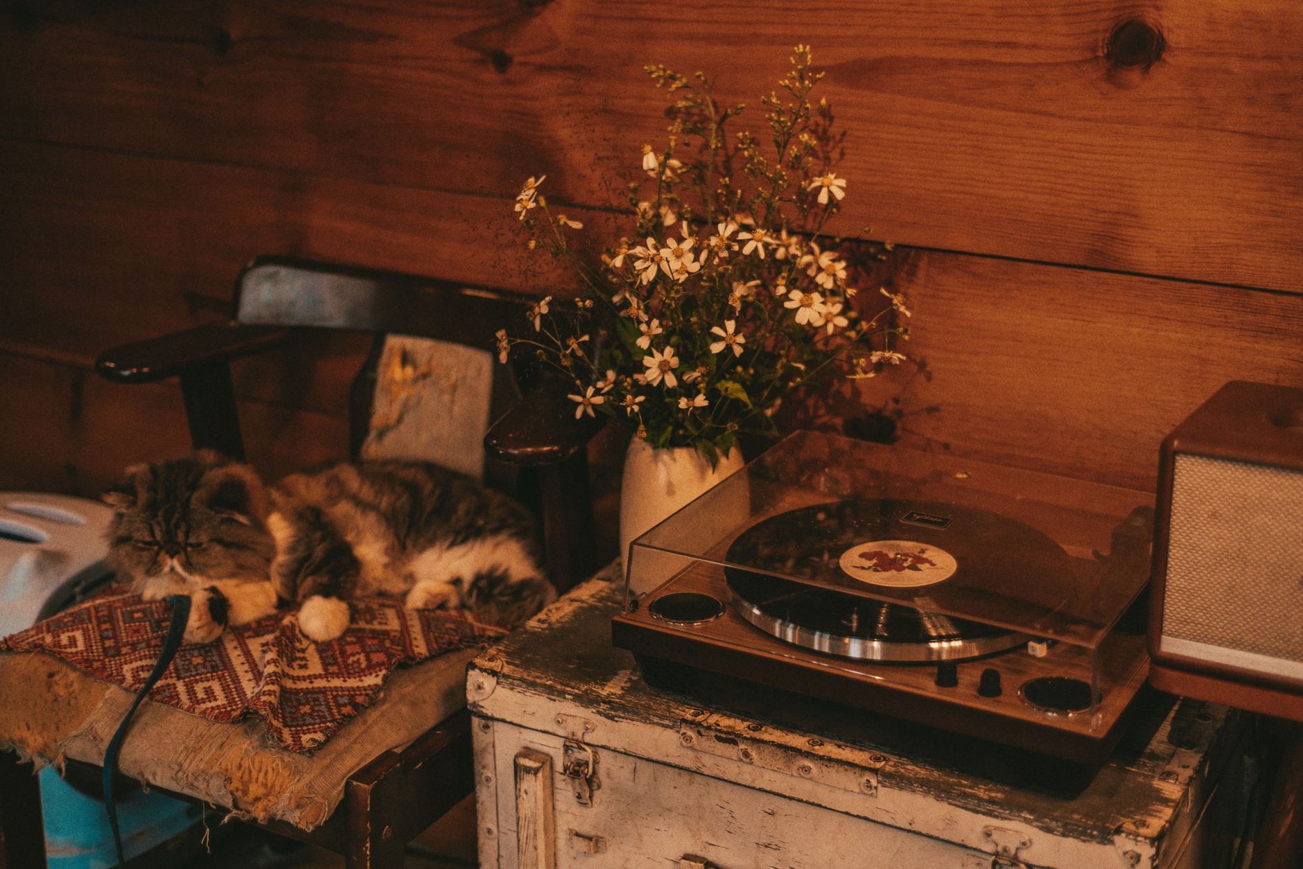 blanket wall home recording (Photo: Đan Thy Nguyễn Mai / Pexels)