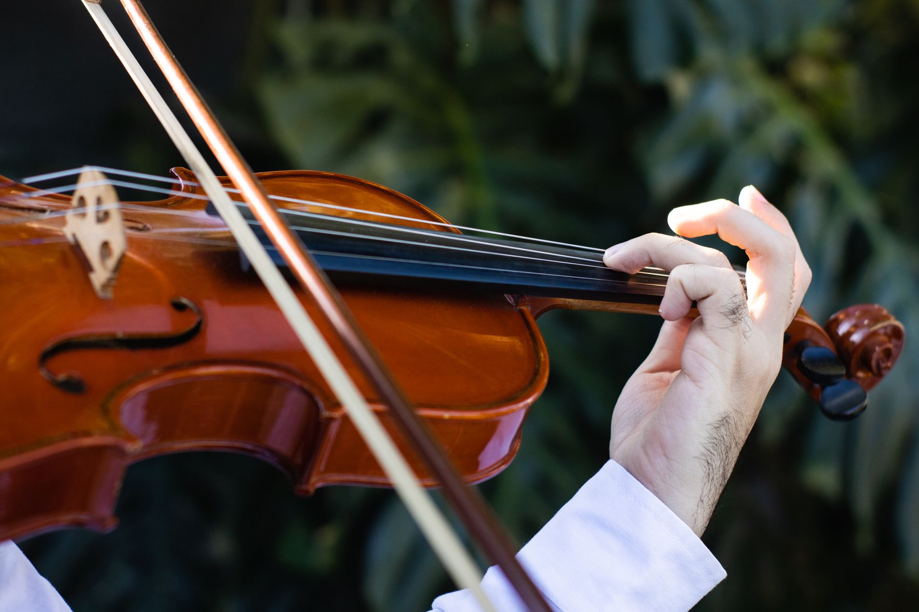 violin bow strings (Photo: Victtor Daniel / Pexels)