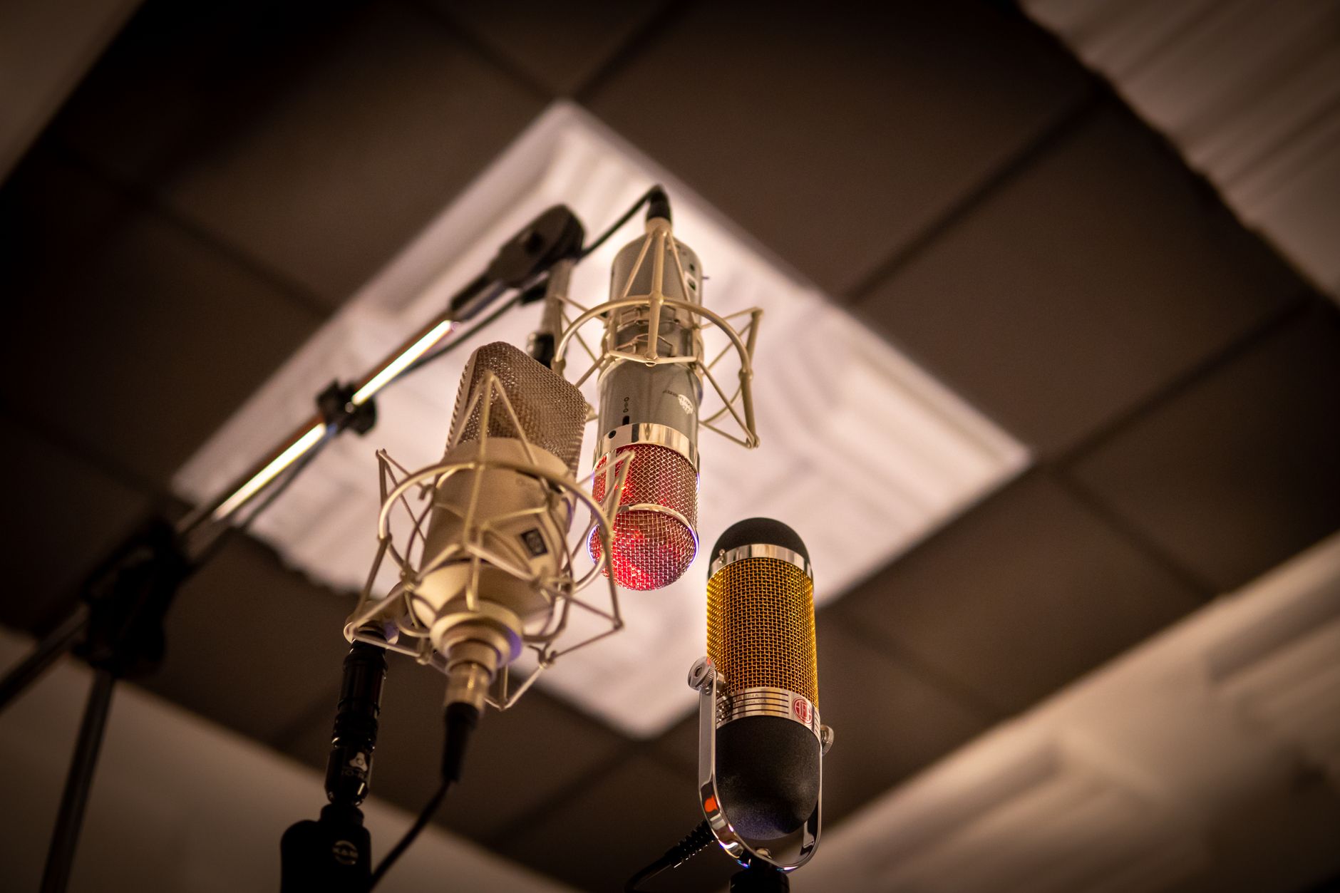 microphone stand equipment shop (Photo: Andreu Marquès / Pexels)
