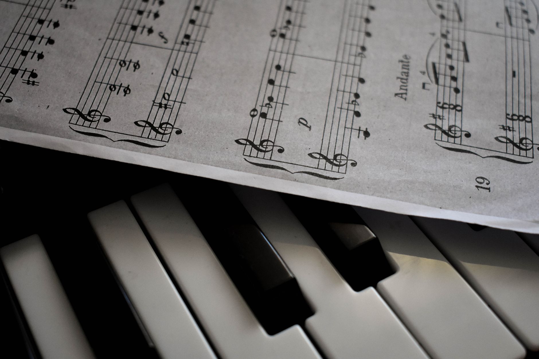 piano keys close up (Photo: Jana T. / Pexels)