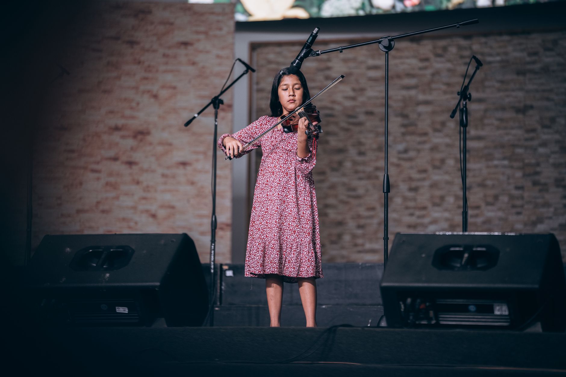 microphone stand stage floor (Photo: David Malca / Pexels)