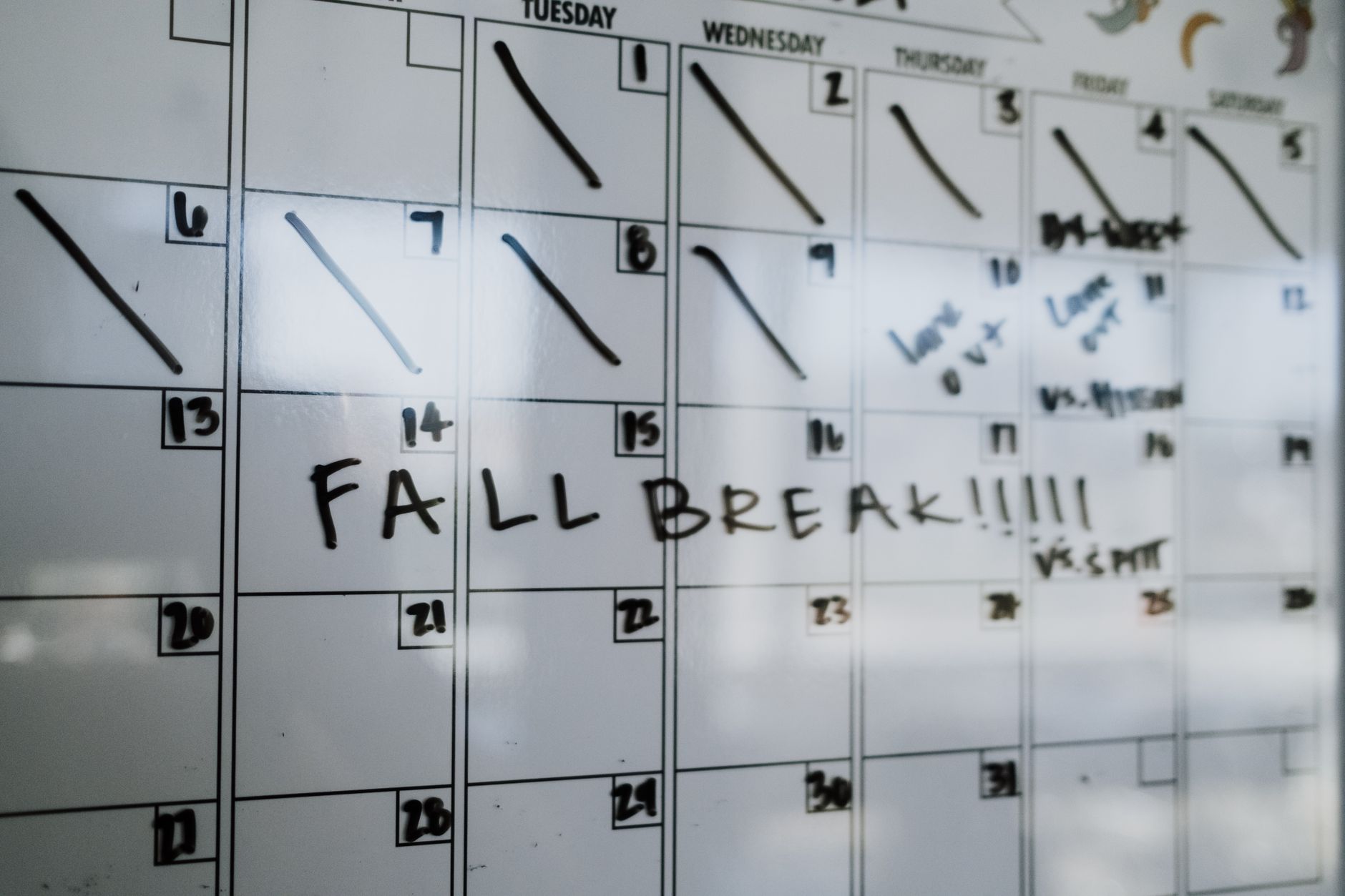 wall calendar marker schedule (Photo: K / Pexels)