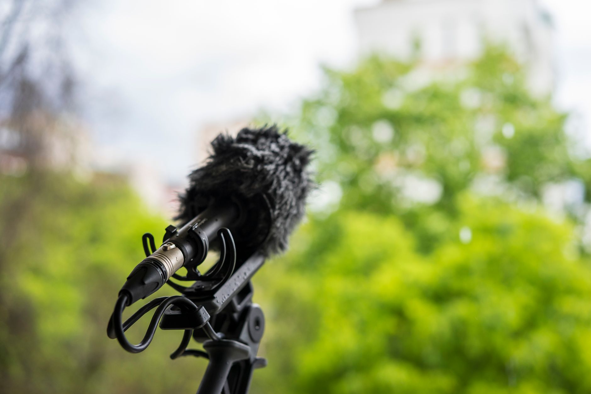 field recorder microphone outdoor (Photo: Carlos Santos / Pexels)