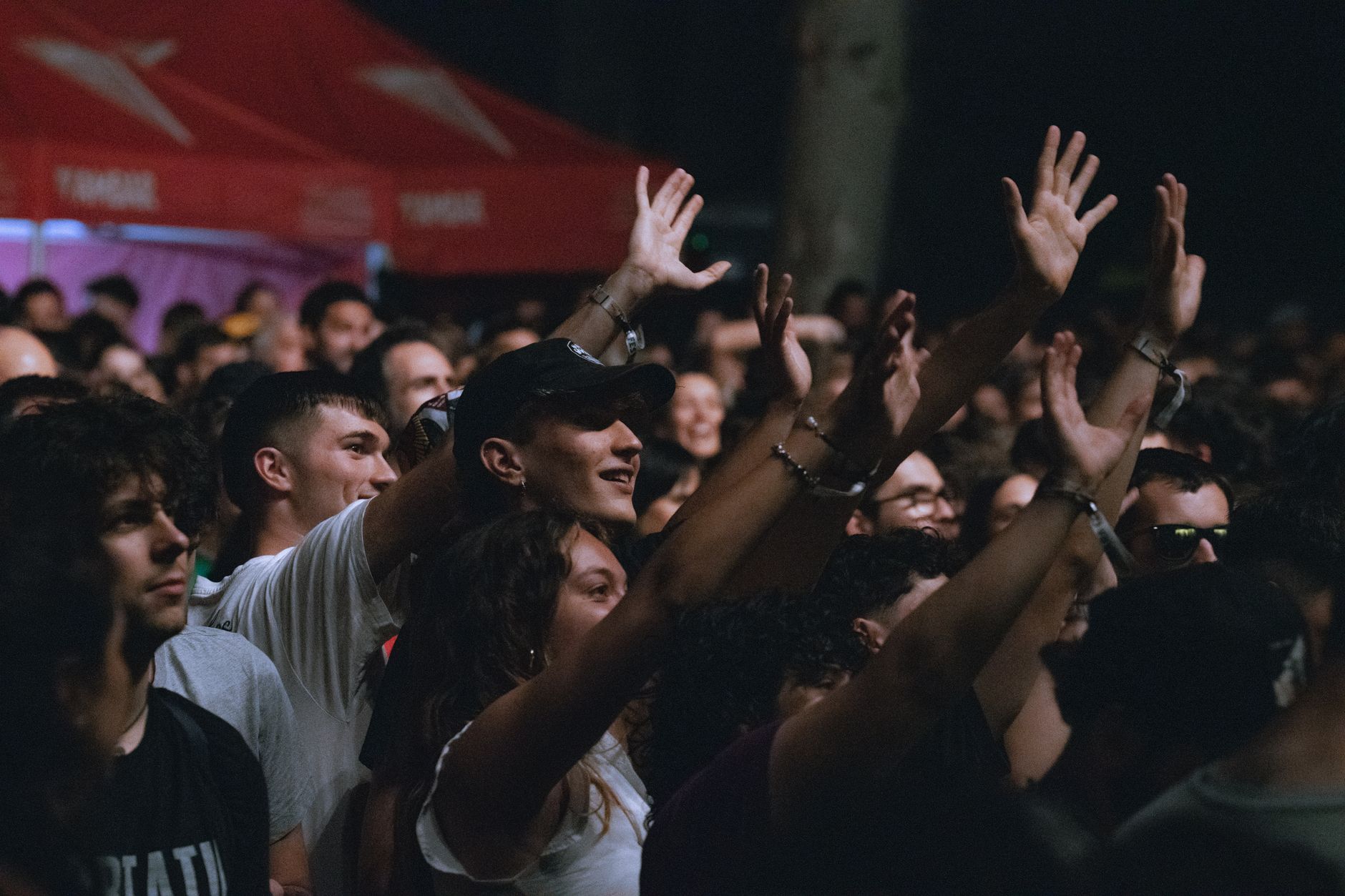 concert audience crowd cheering (Photo: Noland Live / Pexels)
