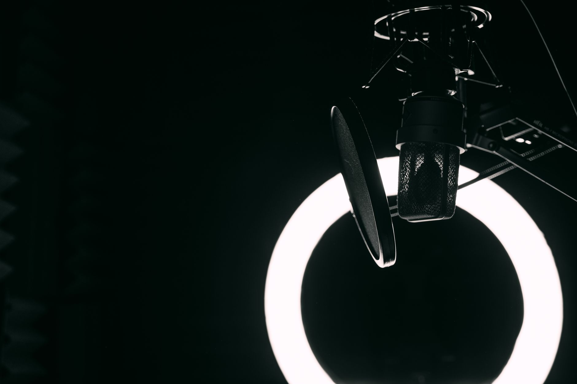 pop filter microphone stand (Photo: Jessica Lewis 🦋 thepaintedsquare / Pexels)